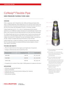 Coflexip® Flexible Pipe