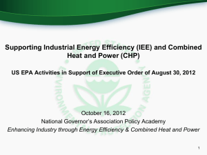 Supporting Industrial Energy Efficiency (IEE) and Combined Heat