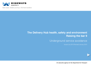 The Delivery Hub health, safety and environment Raising the bar 9