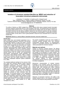 Isolation of chromium resistant Bacillus sp. MRKV and reduction of