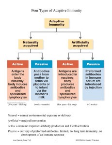 Four Types of Adaptive Immunity