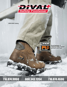 Safety Footwear Catalog 051309