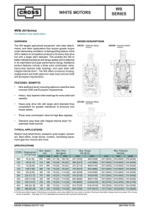 WHITE MOTORS WS SERIES