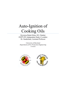 Auto-Ignition of Cooking Oils - DRUM