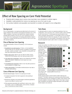 Effect of Row Spacing on Corn Yield Potential