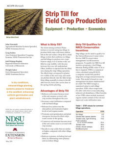 Strip Till for Field Crop Production - NDSU Agriculture