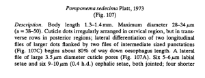 (Fig. 107) Body length 1.3-1.4 mm. Maximum diameter 28