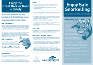 Enjoy Safe Snorkelling