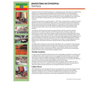 investing in ethiopia: textiles