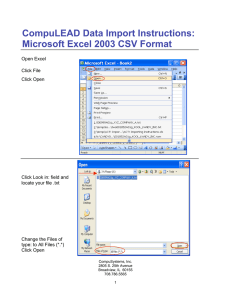 Excel CSV Format