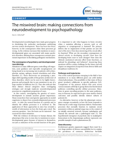 The miswired brain: making connections from neurodevelopment to