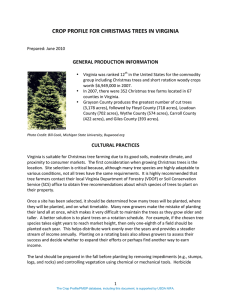 crop profile for christmas trees in virginia