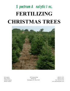 FERTILIZING CHRISTMAS TREES