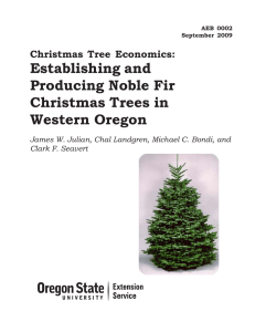 Christmas Tree Economics: Establishing and Producing Noble Fir