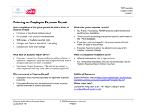 Entering an Employee Expense Report