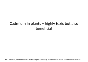 Cadmium in plants – highly toxic but also b fi i l eneficial