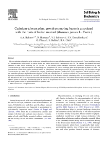 Cadmium-tolerant plant growth-promoting bacteria