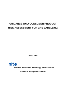 GUIDANCE ON A CONSUMER PRODUCT RISK ASSESSMENT