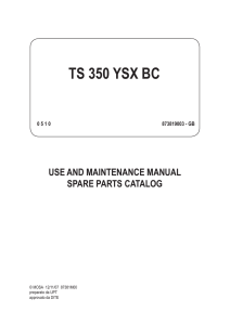 TS 350 YSX BC