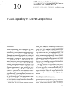 (2001). Visual signaling in anuran amphibians