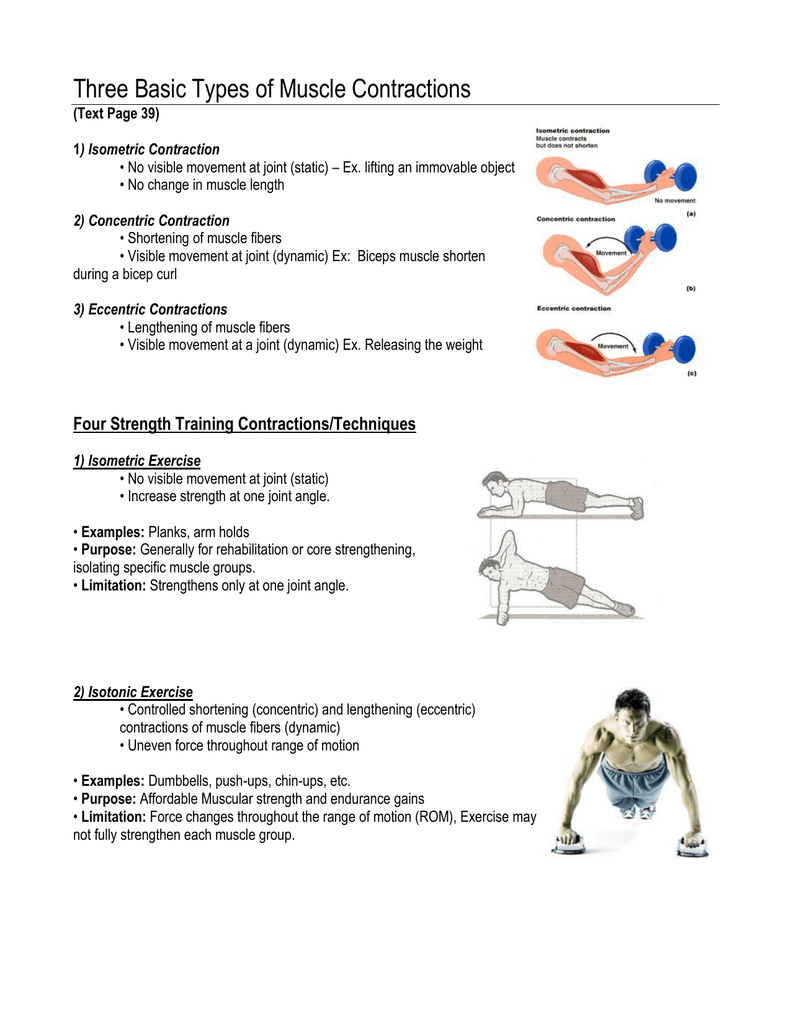 three-basic-types-of-muscle-contractions