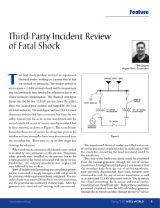 Third-Party Incident Review of Fatal Shock