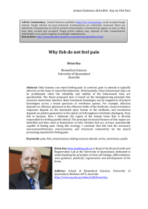 Why fish do not feel pain - Animal Studies Repository