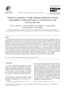 Distinctive properties of high hydrogen producing