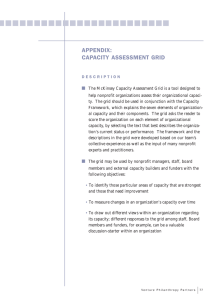 appendix: capacity assessment grid