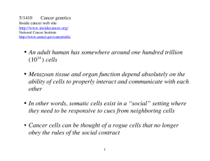 • An adult human has somewhere around one hundred trillion (1014