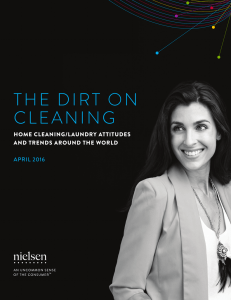 THE DIRT ON CLEANING