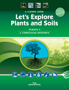 Let`s Explore Plants and Soils
