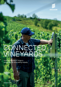 Connected Vineyards