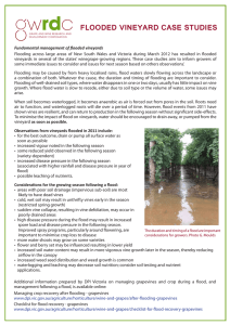 FLOODED VINEYARD CASE STUDIES