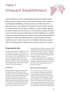 Chapter 5. Vineyard Establishment