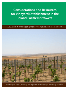 Considerations and Resources for Vineyard Establishment in the