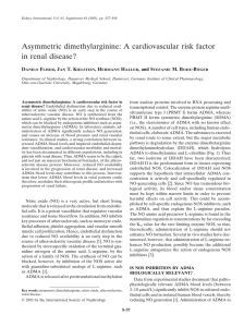 Asymmetric dimethylarginine: A cardiovascular risk factor in renal