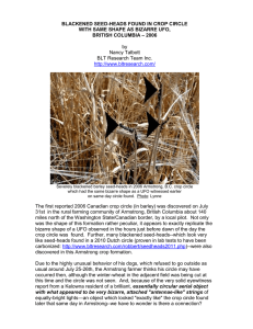 blackened seed-heads found in crop circle