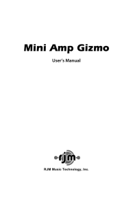 Mini Amp Gizmo Manual - RJM Music Technology, Inc.