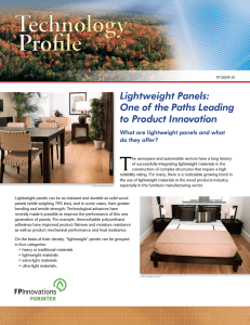 Lightweight Panels: One of the Paths Leading to Product Innovation