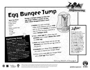 Egg Bungee Jump
