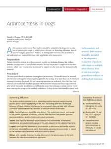 Arthrocentesis in Dogs
