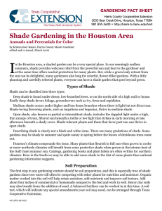 Shade Gardening in the Houston Area