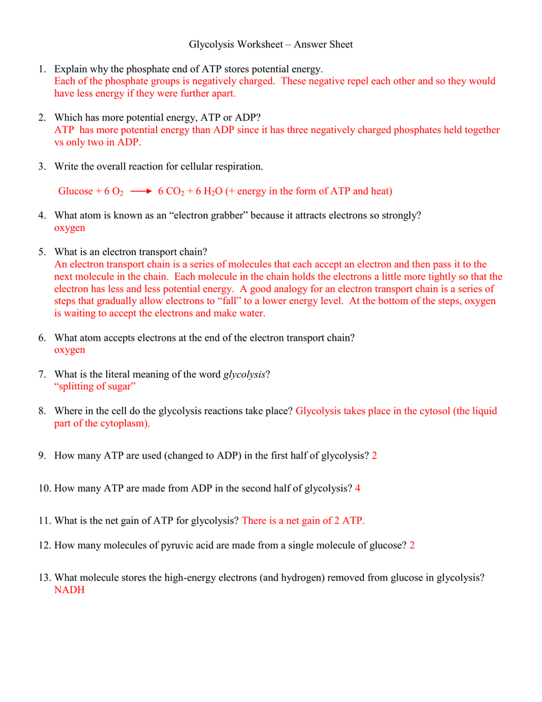 Glycolysis Worksheet In Atp Worksheet Answer Key