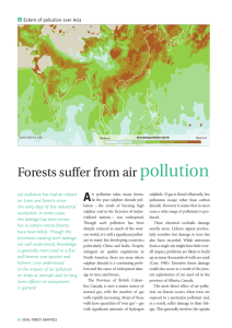 Forests suffer from air pollution
