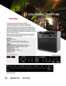 Dual Channel, 35 Watt, 6V6