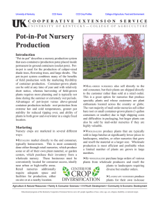 Pot-in-Pot Nursery Production