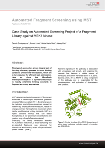 Automated Fragment Screening using MST