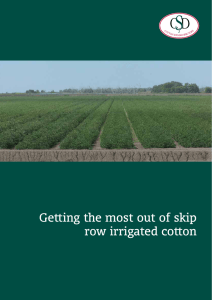 Getting the most out of skip row irrigated cotton