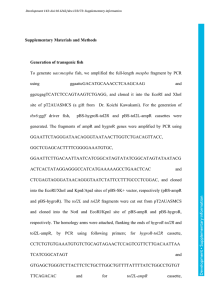 Supplementary Materials and Methods Generation of transgenic fish